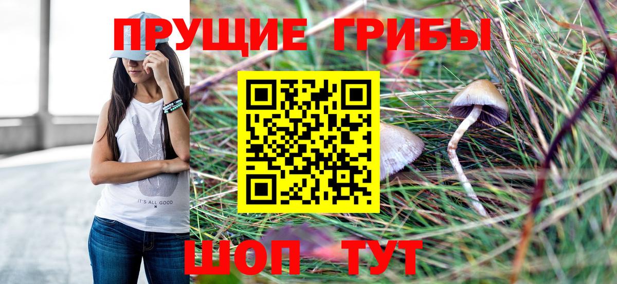 Псилоцибиновые грибы Cubensis Бирск