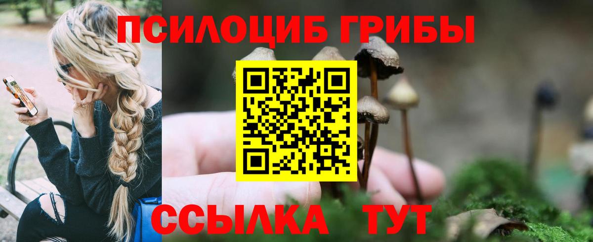 Галлюциногенные грибы Psilocybe  Вход с VPN  Бирск 